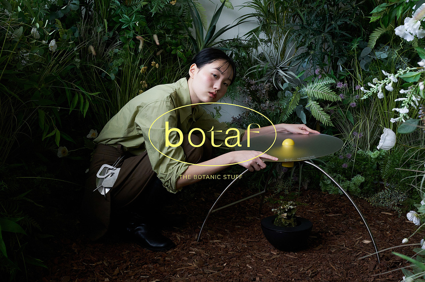 button，Botany，