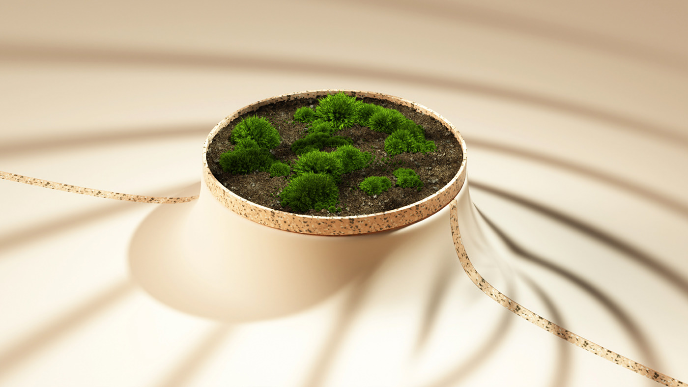 Botany，green，Potted plants，