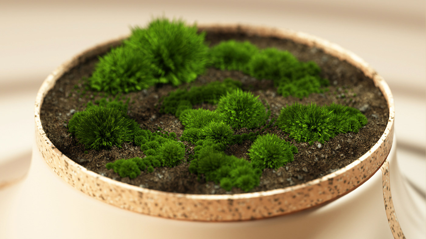 Botany，green，Potted plants，