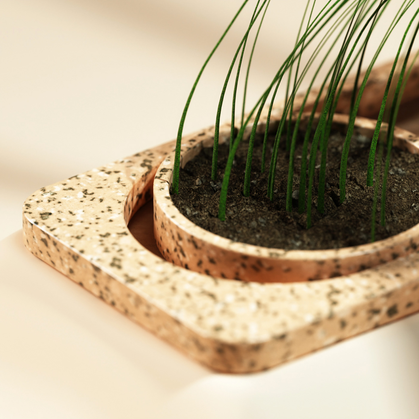 Botany，green，Potted plants，