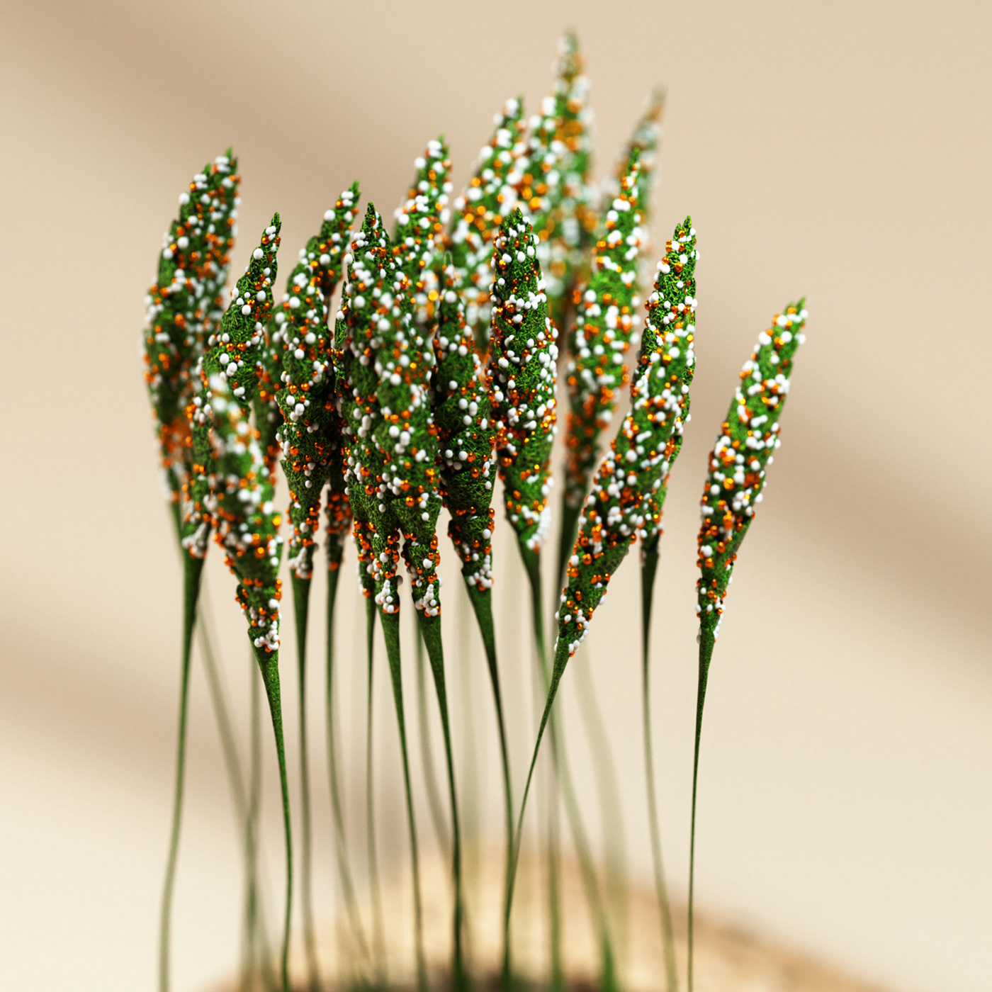 Botany，green，Potted plants，