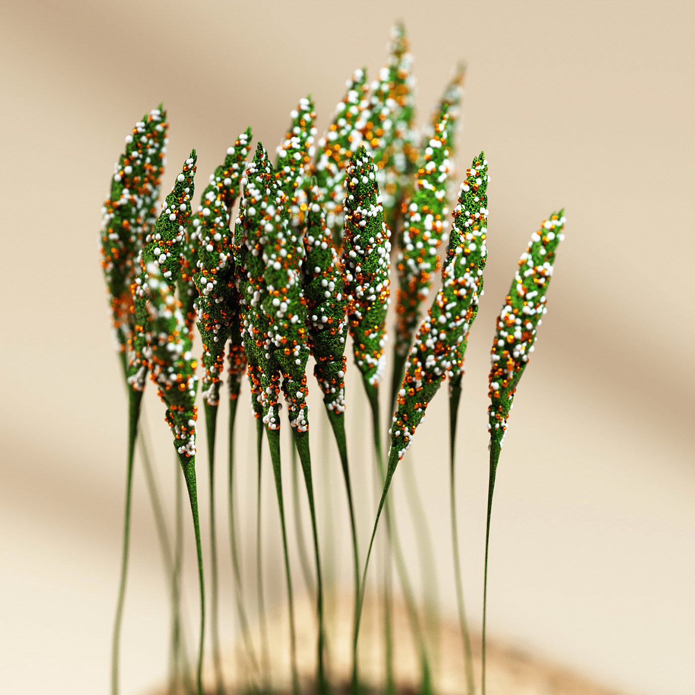 Botany，green，Potted plants，