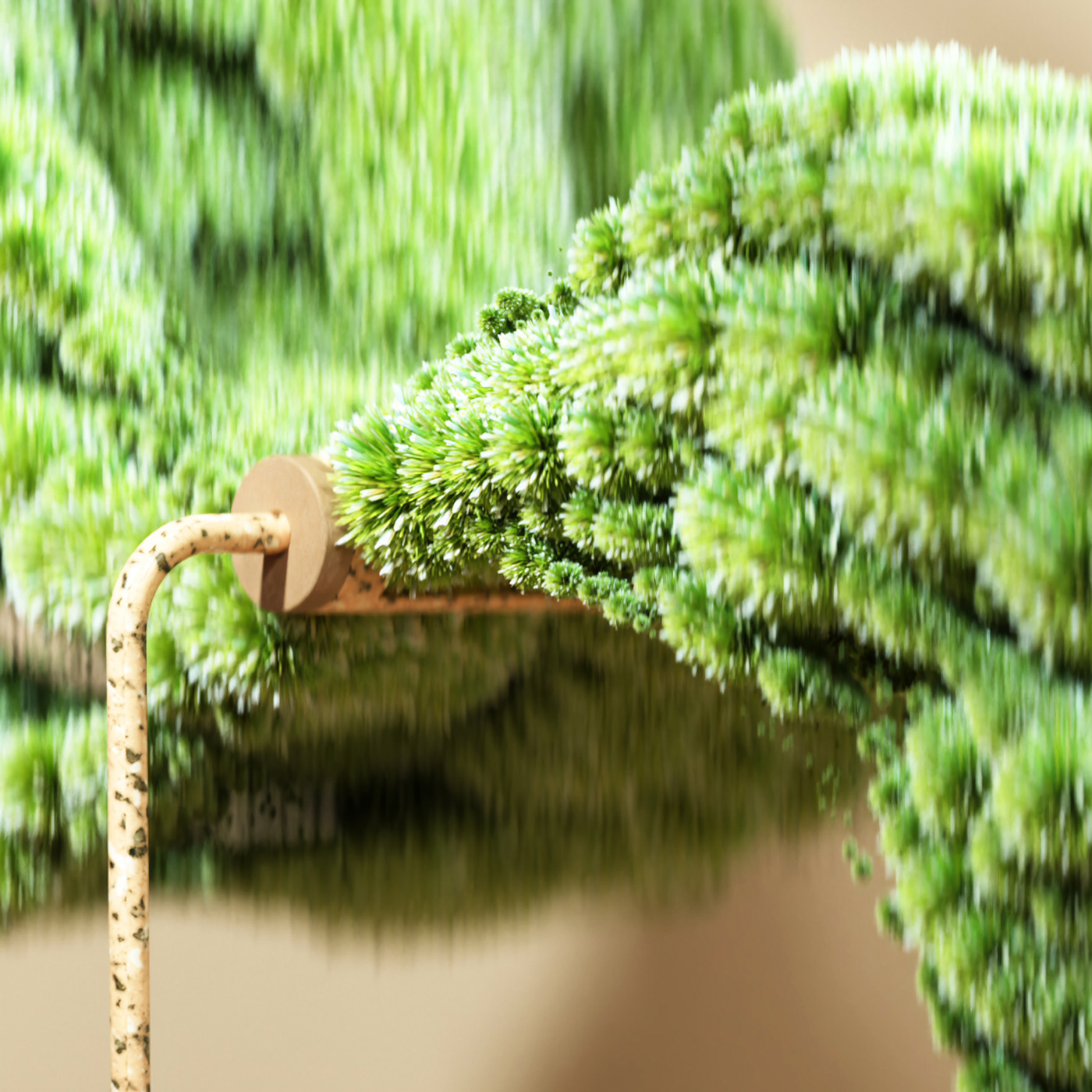 Botany，green，Potted plants，