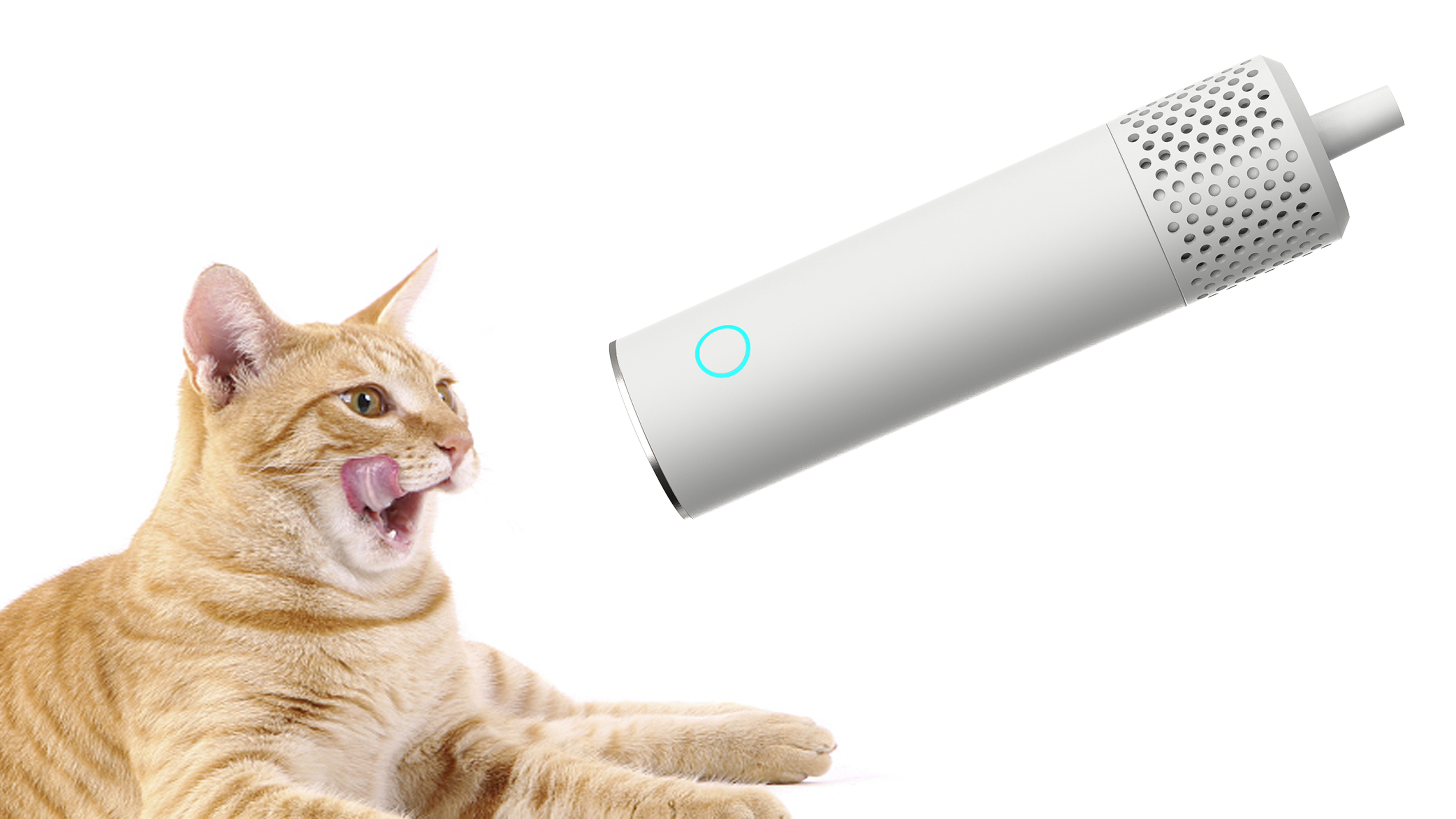 cat owner，Pet Supplies & Pet，industrial design，