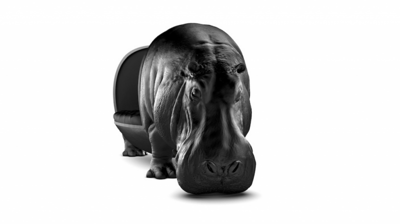 furniture，Home Furnishing，Ornaments，sofa，animal，