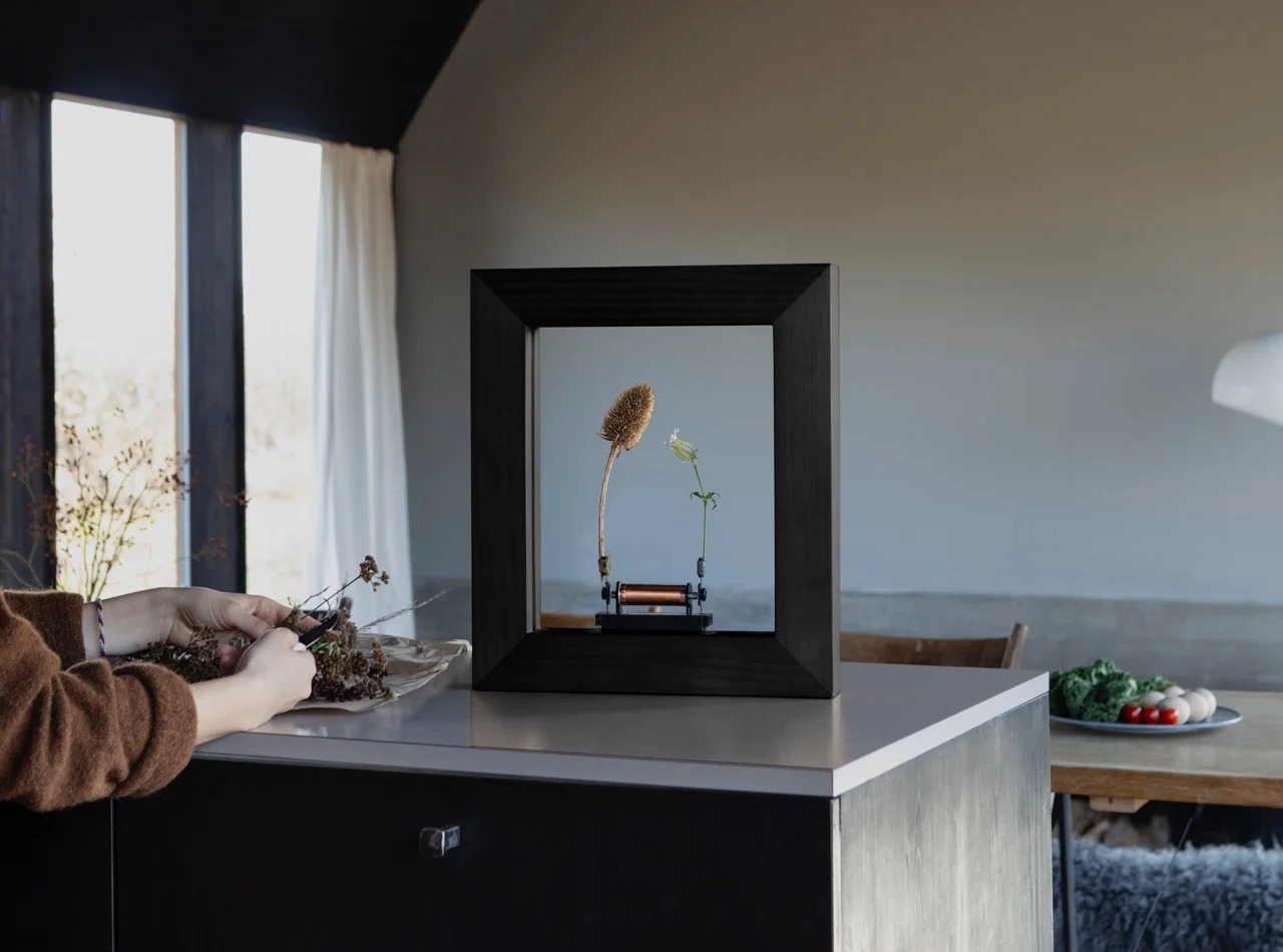 Slow Dance，natural beauty，product design，Optical illusion，