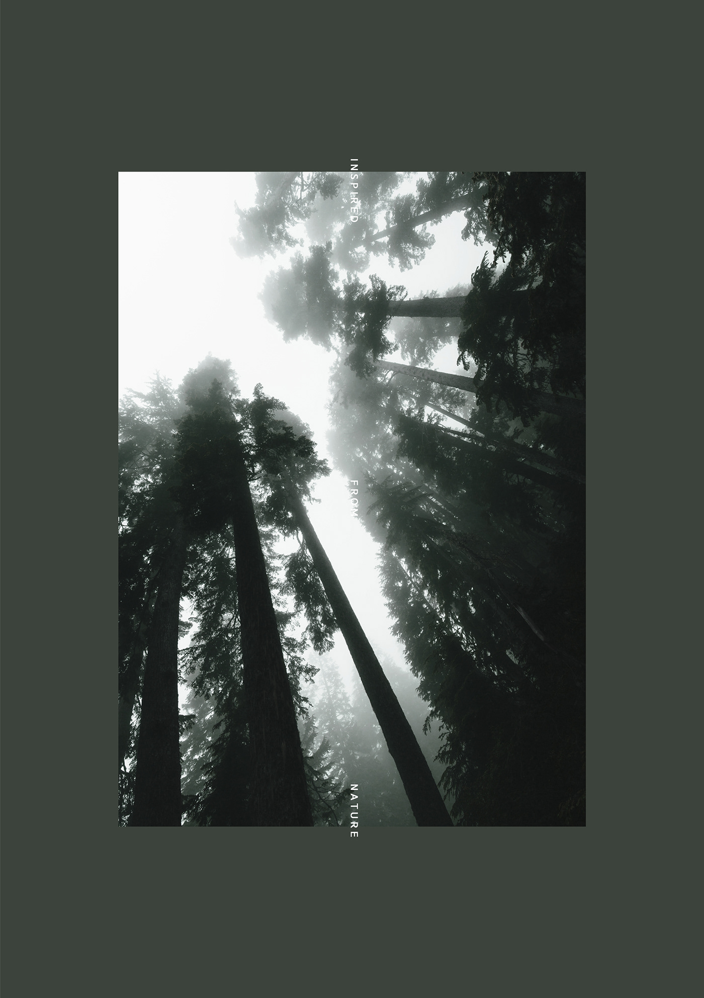 Second White，Natural value，Toothbrush design，Electric toothbrush F series，Usability design，Ergonomics，