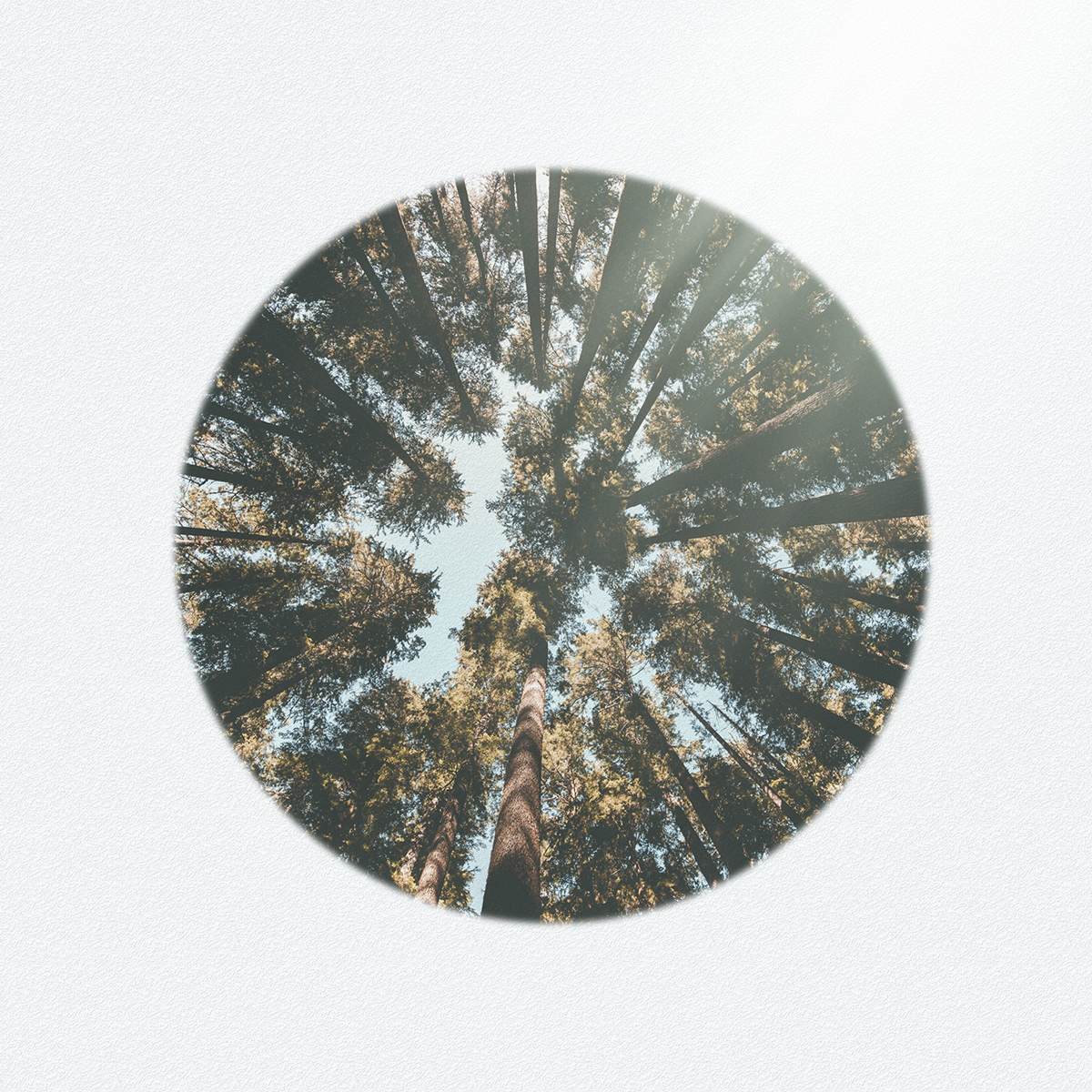 Small space life，VINDU，Small projector，ceiling，DAY ROOM，