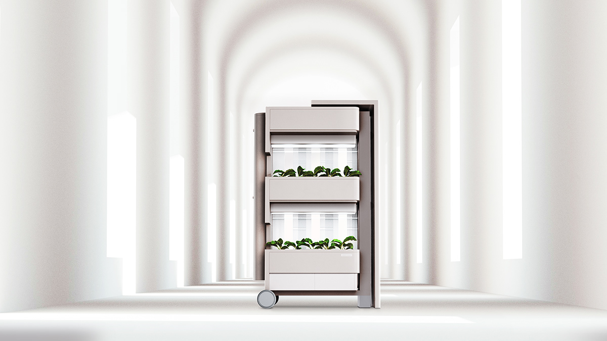 furniture design ，product design，indoor，Indoor planting，