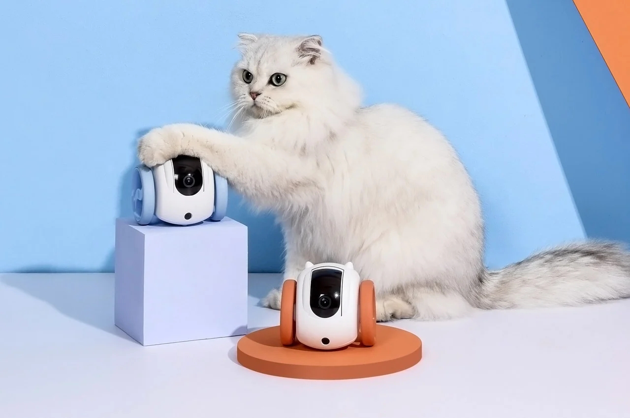 robot，MeowMates，product design，Pet follow，