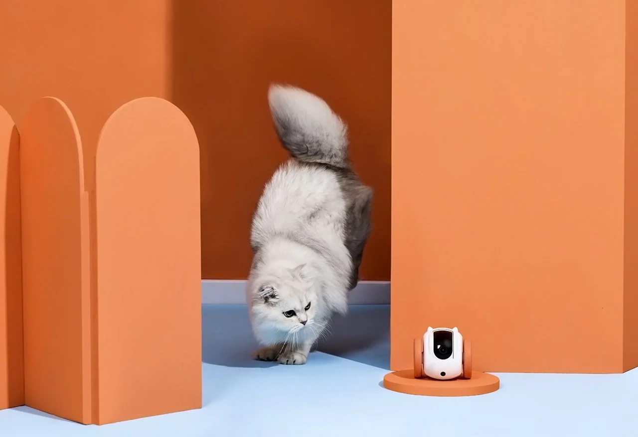 robot，MeowMates，product design，Pet follow，