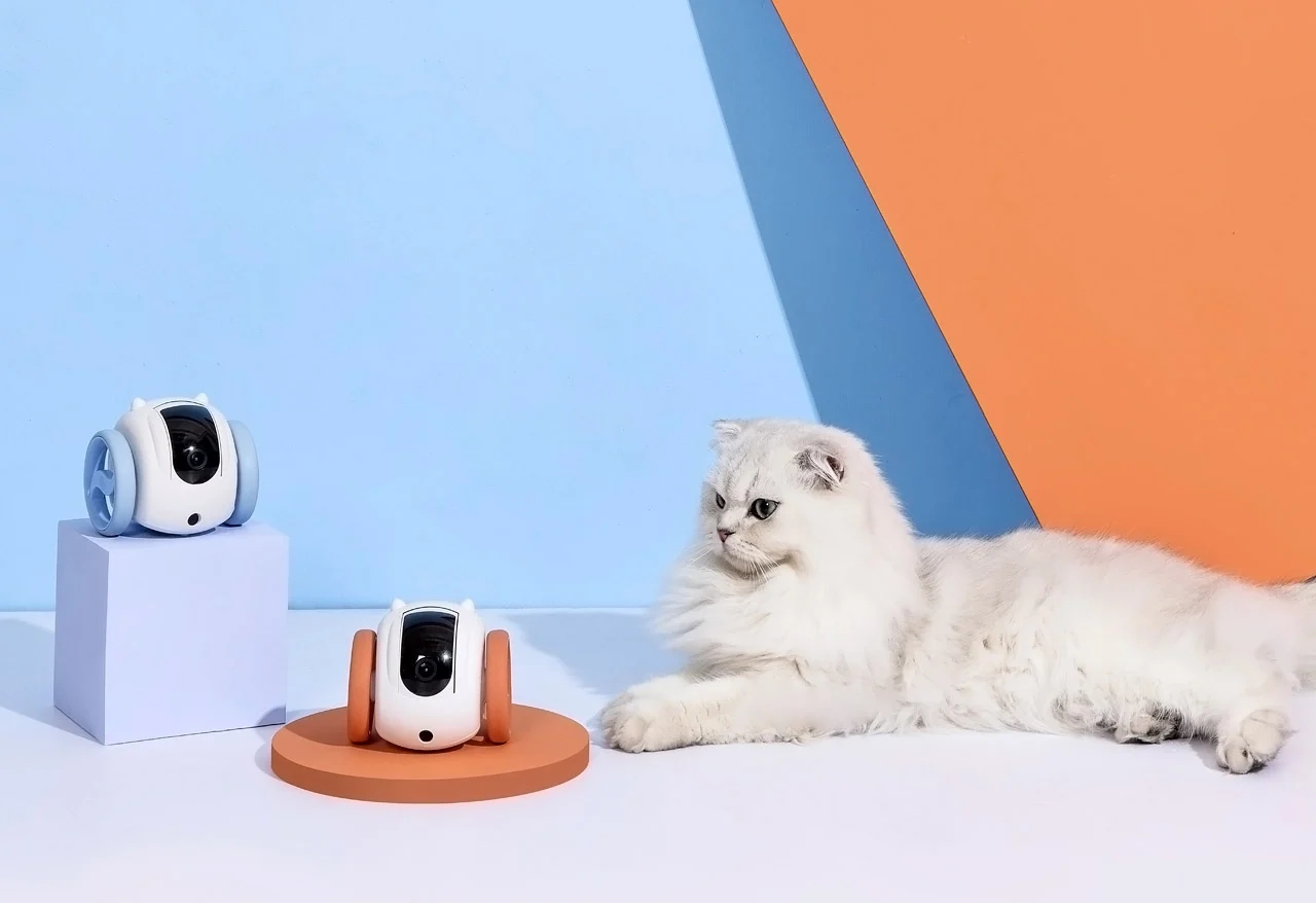 robot，MeowMates，product design，Pet follow，