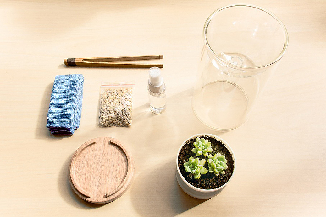 桌面小植物，光合作用，容器，盆栽，植物，绿色，lives Glass，2013红点奖，