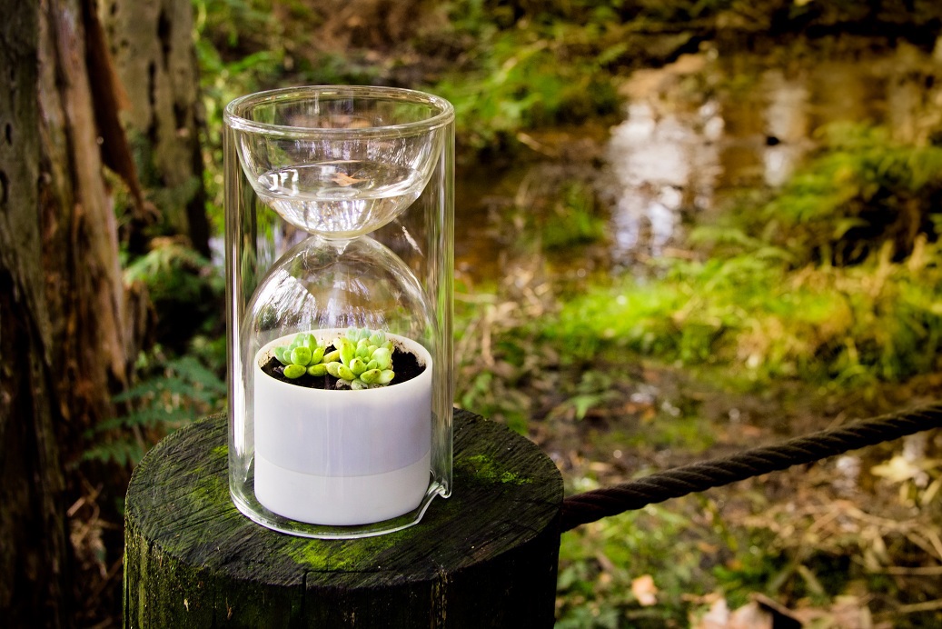 Desktop plants，photosynthesis，container，Potted plants，Botany，green，lives Glass，2013 red dot award，