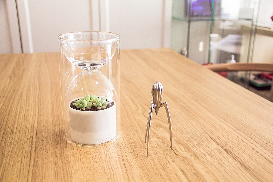 Desktop plants，photosynthesis，container，Potted plants，Botany，green，lives Glass，2013 red dot award，