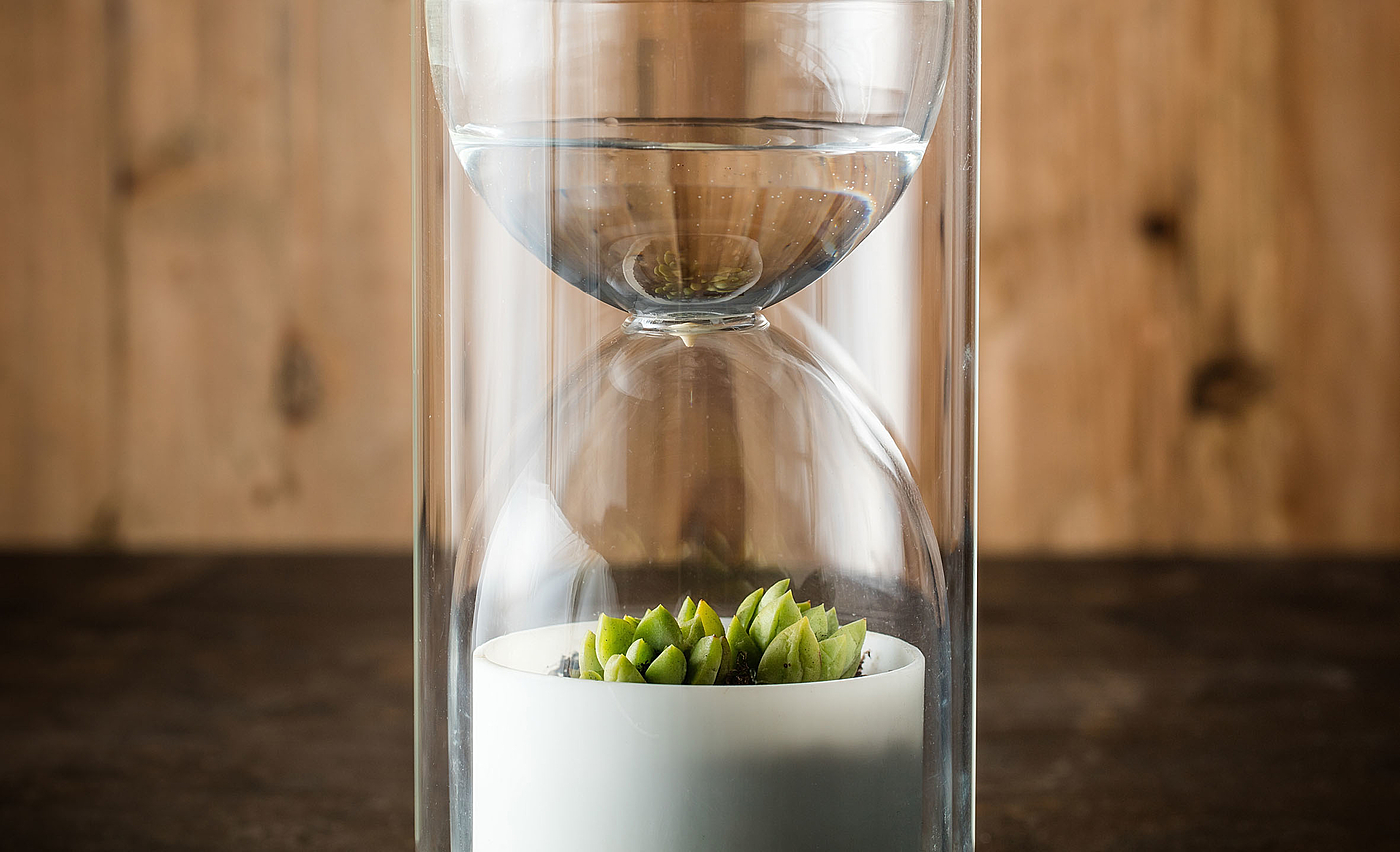 Desktop plants，photosynthesis，container，Potted plants，Botany，green，lives Glass，2013 red dot award，