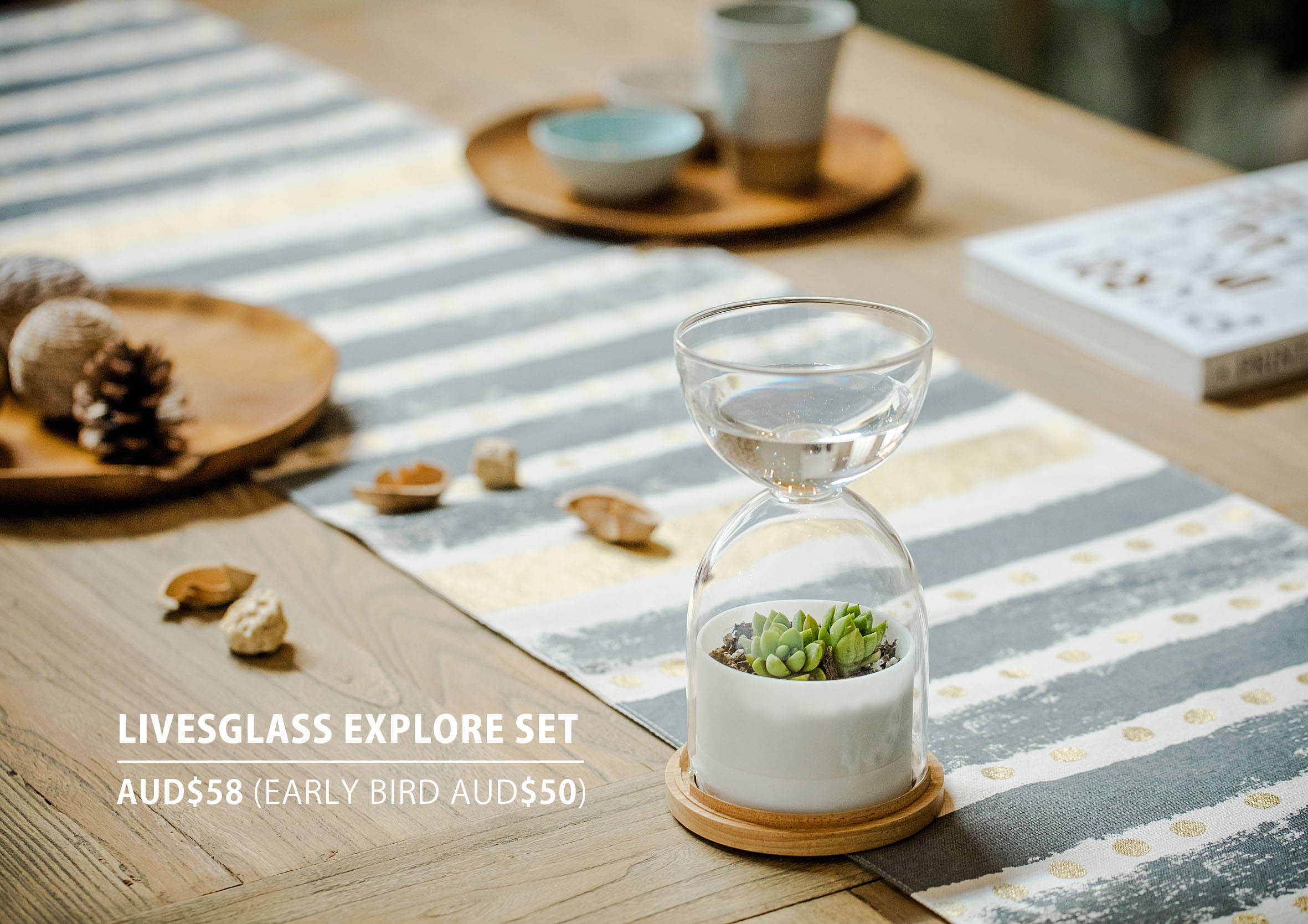 Desktop plants，photosynthesis，container，Potted plants，Botany，green，lives Glass，2013 red dot award，