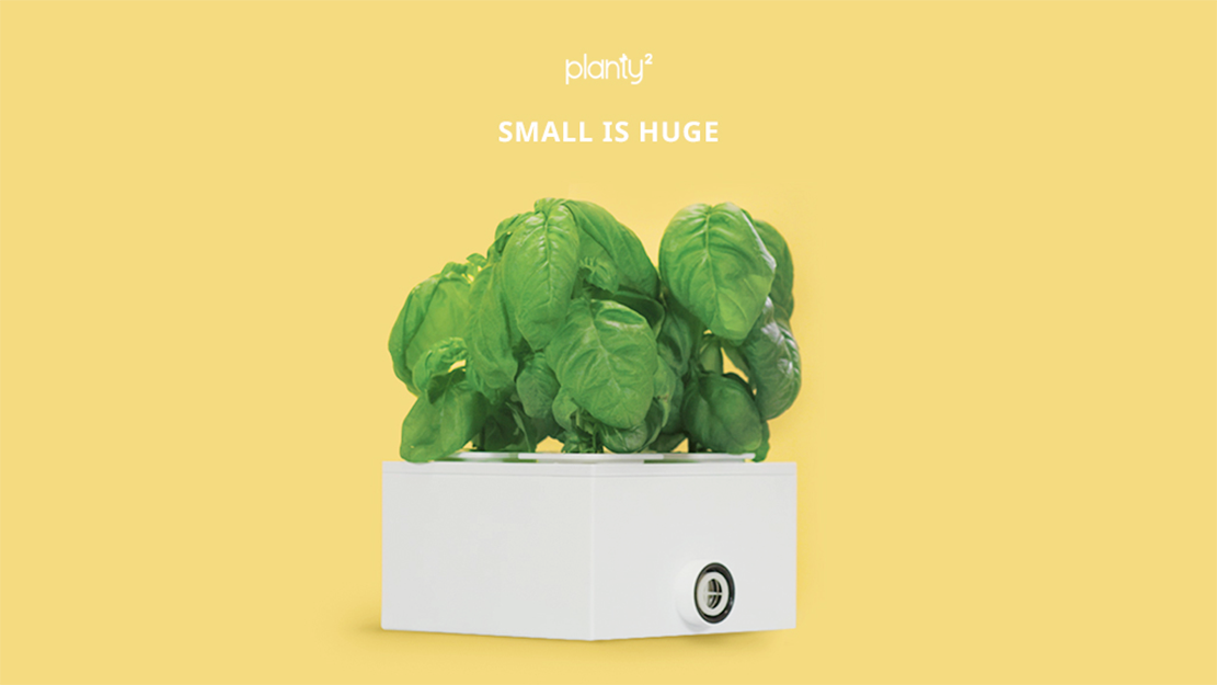 green，Vegetables，modularization，water，container，Dress up，