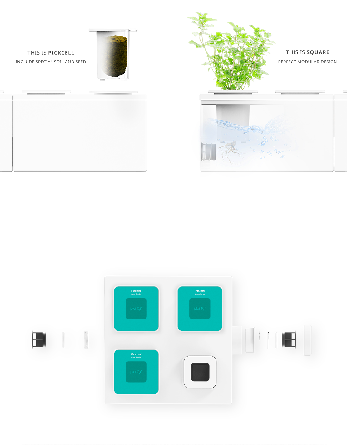 green，Vegetables，modularization，water，container，Dress up，