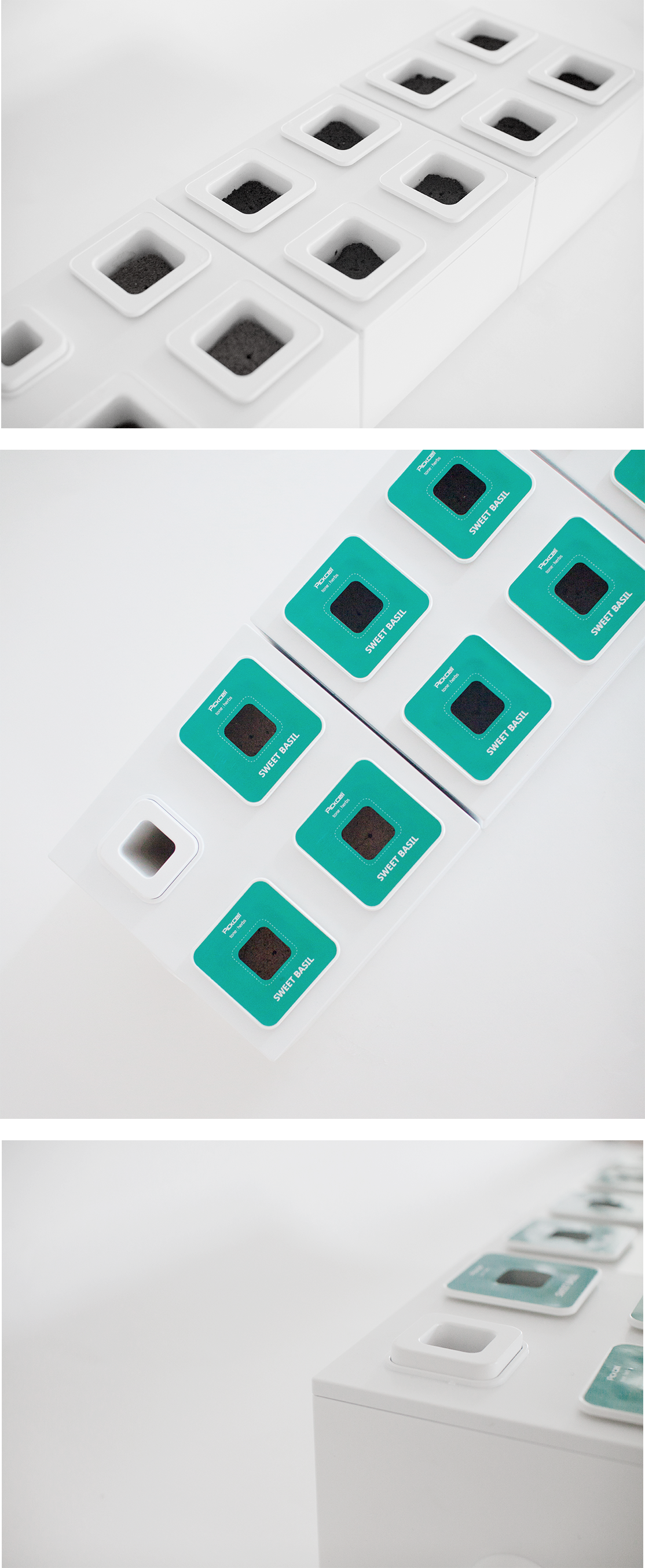 green，Vegetables，modularization，water，container，Dress up，