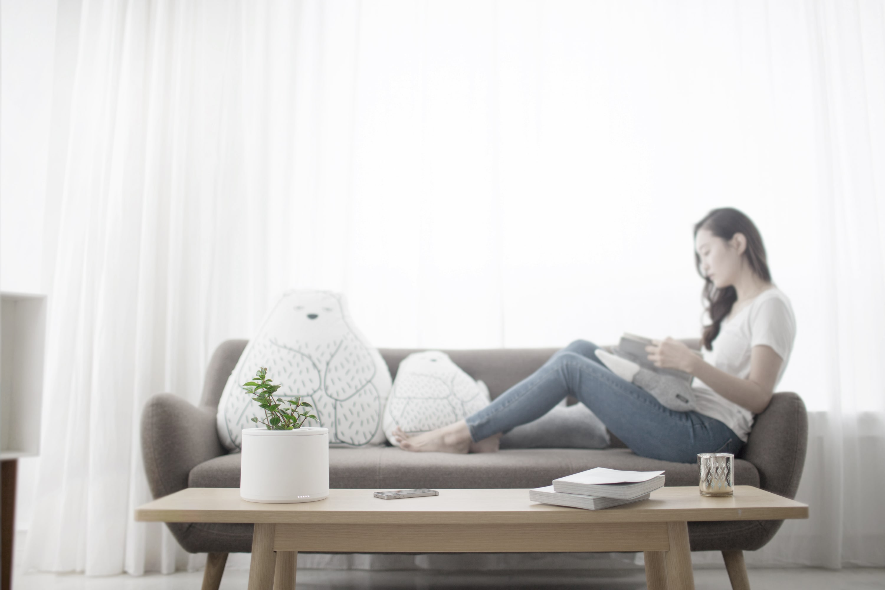 Botany，Flowerpot，monitor，intelligence，Green plant，