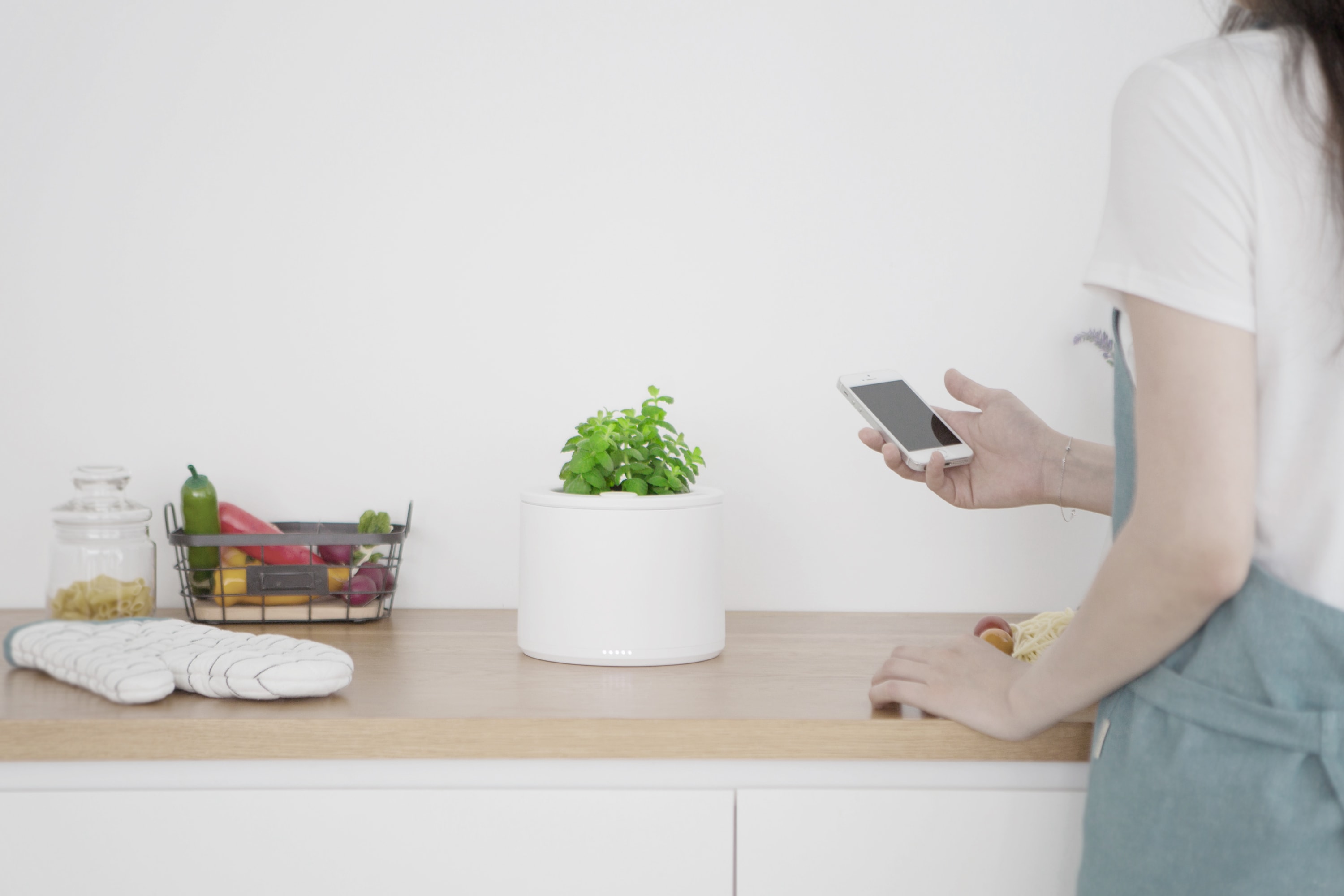 Botany，Flowerpot，monitor，intelligence，Green plant，