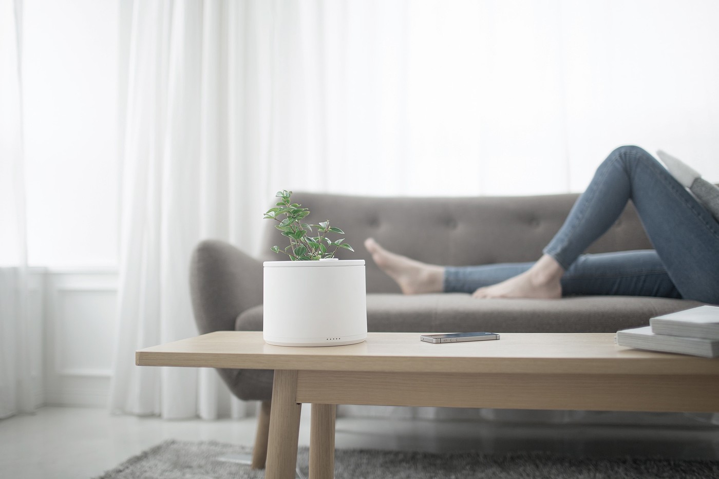Botany，Flowerpot，monitor，intelligence，Green plant，