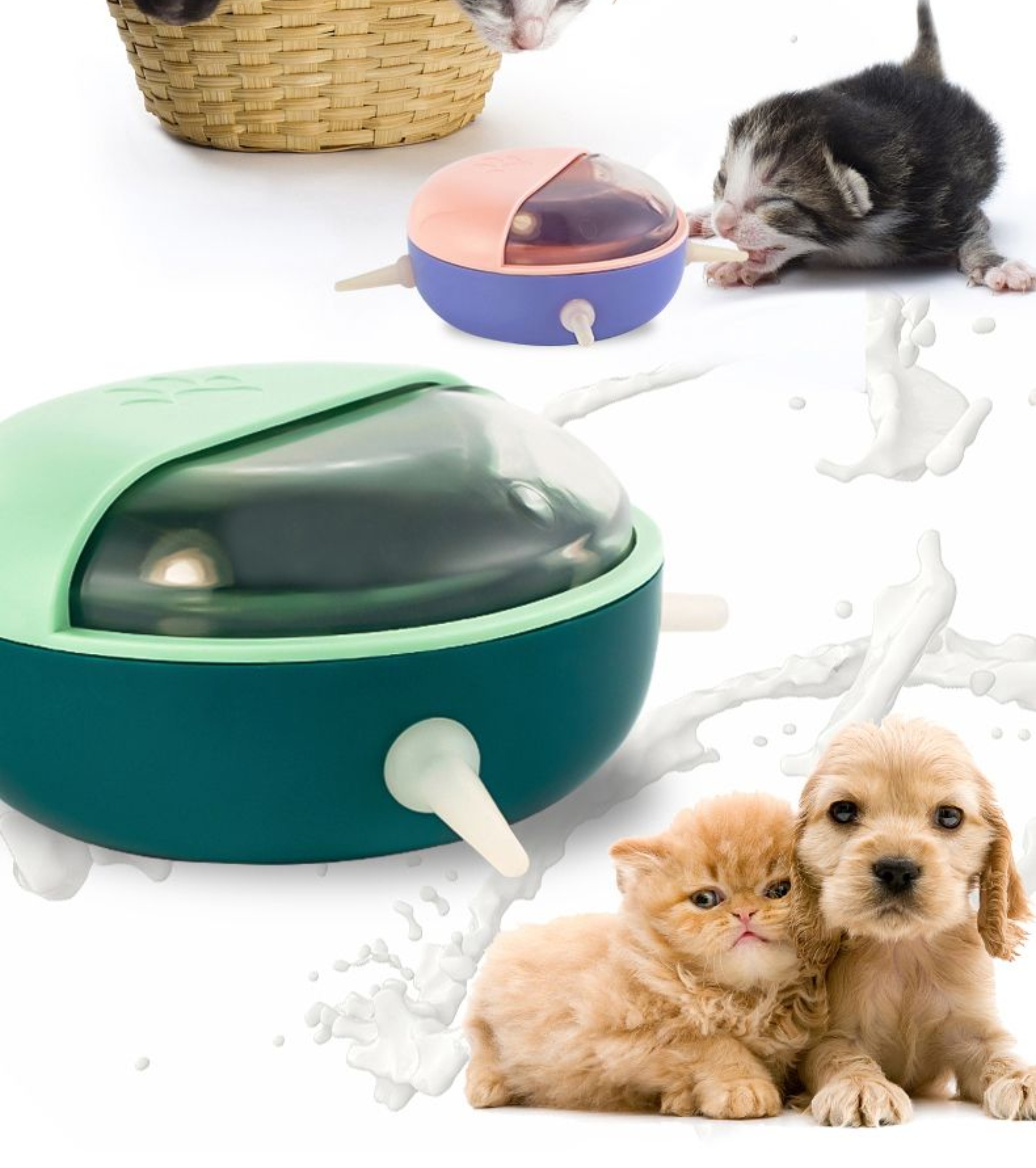 Pet Supplies & Pet，