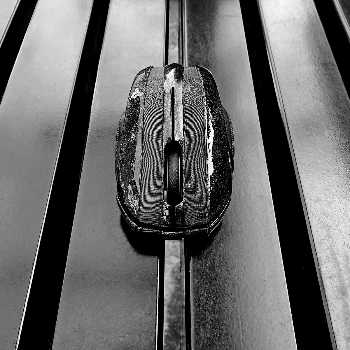 mucus，mouse，cad，Render，