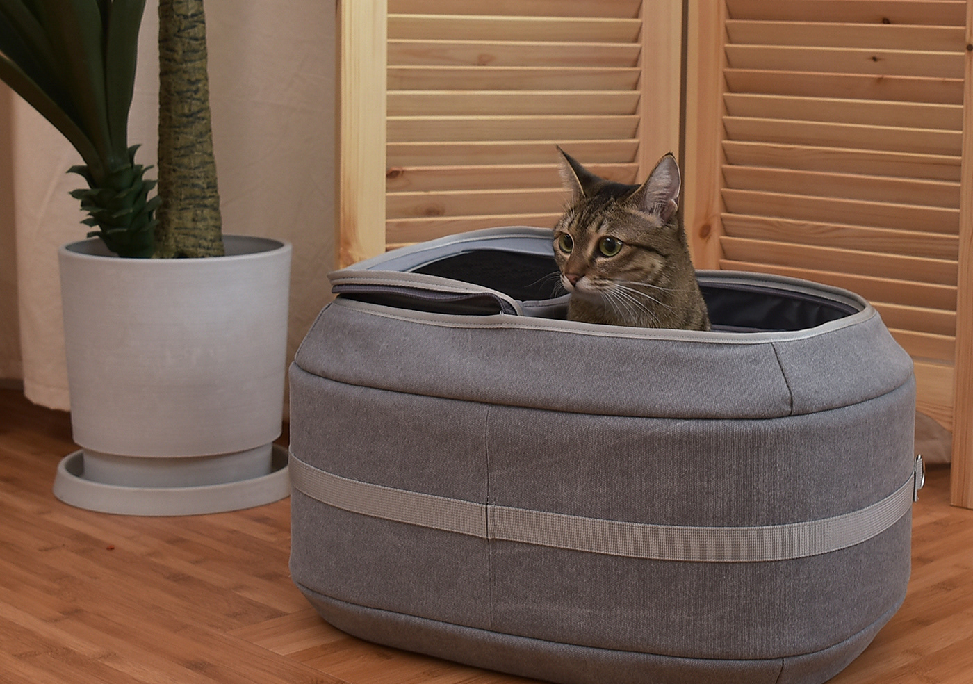 Cat nest，knapsack，Pets，