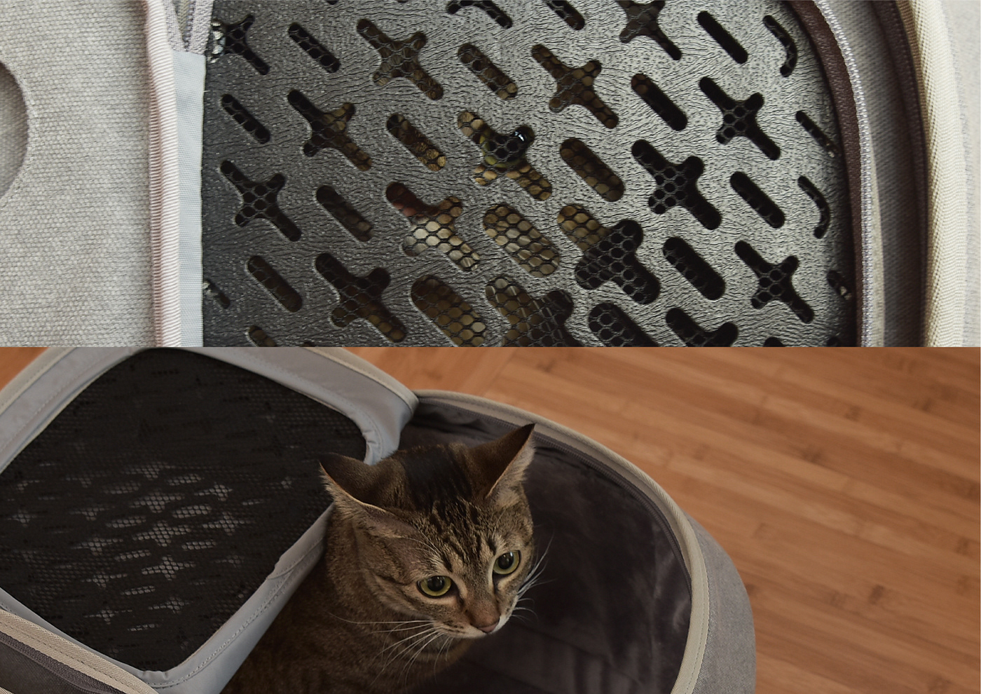 Cat nest，knapsack，Pets，