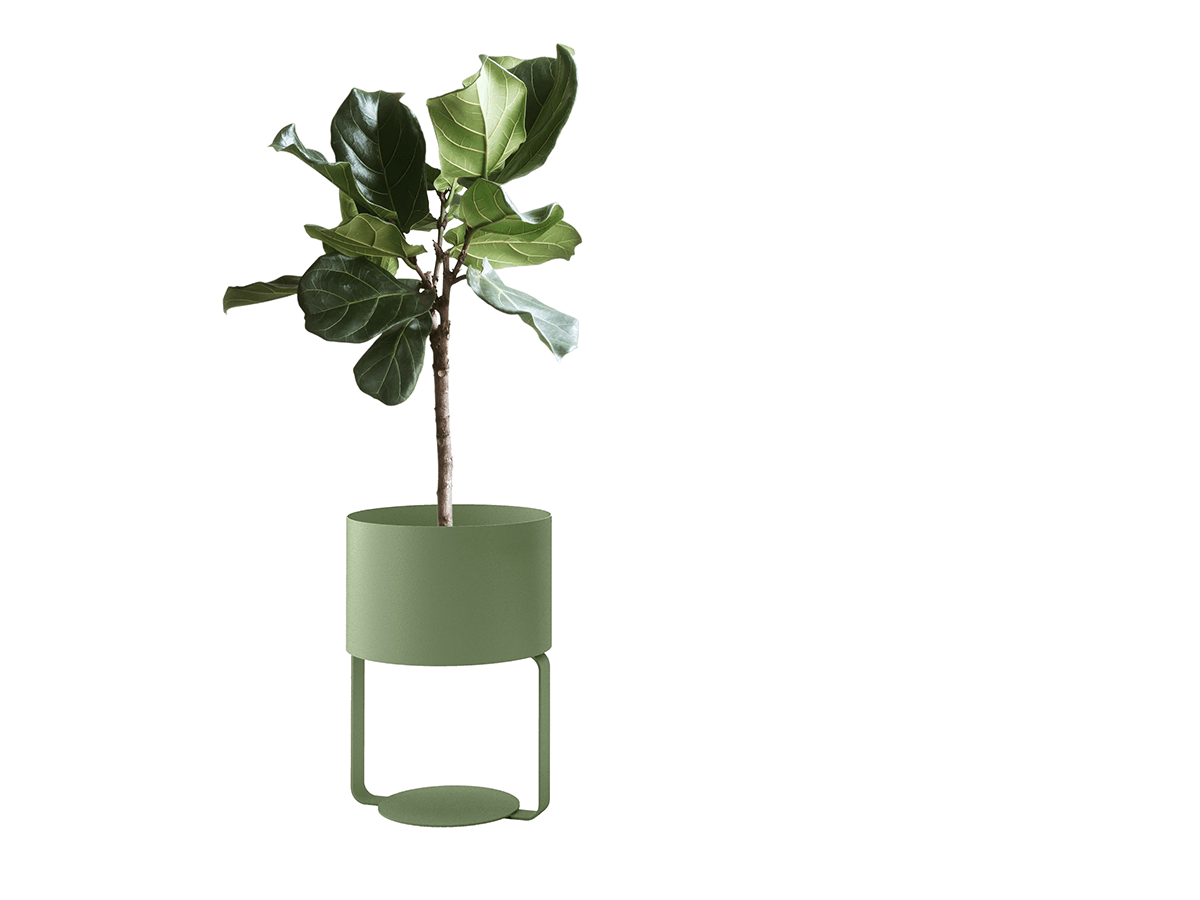 furniture，Interior design，Ribbon，product design，