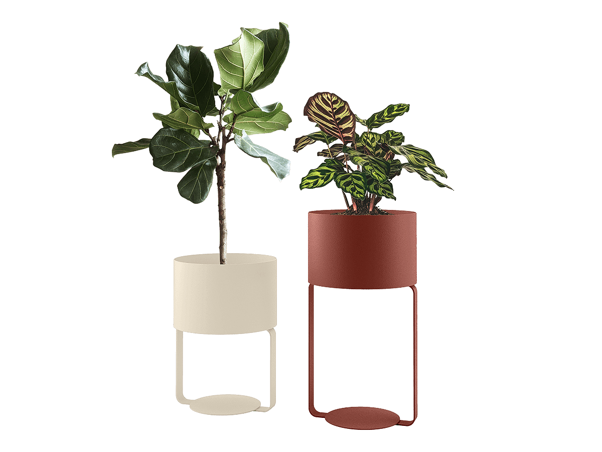furniture，Interior design，Ribbon，product design，