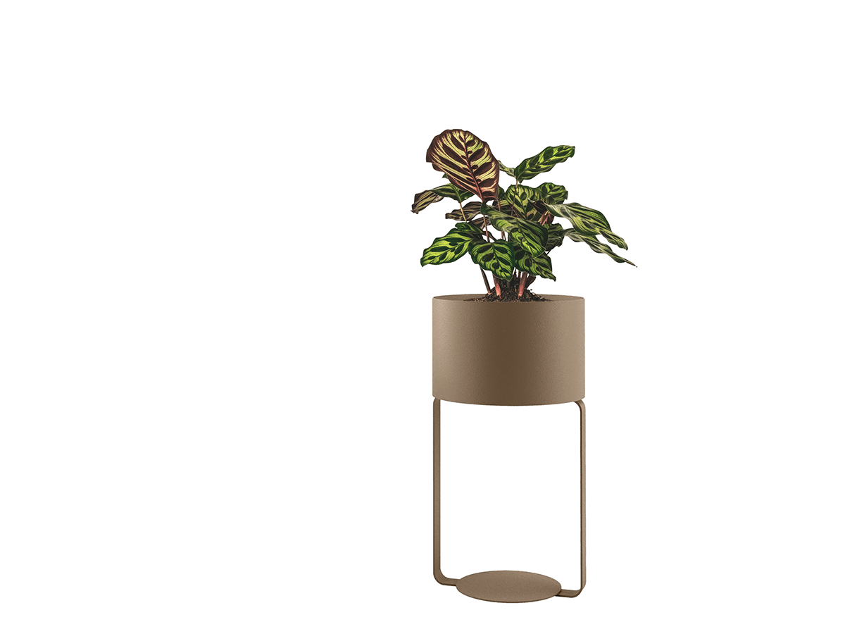 furniture，Interior design，Ribbon，product design，