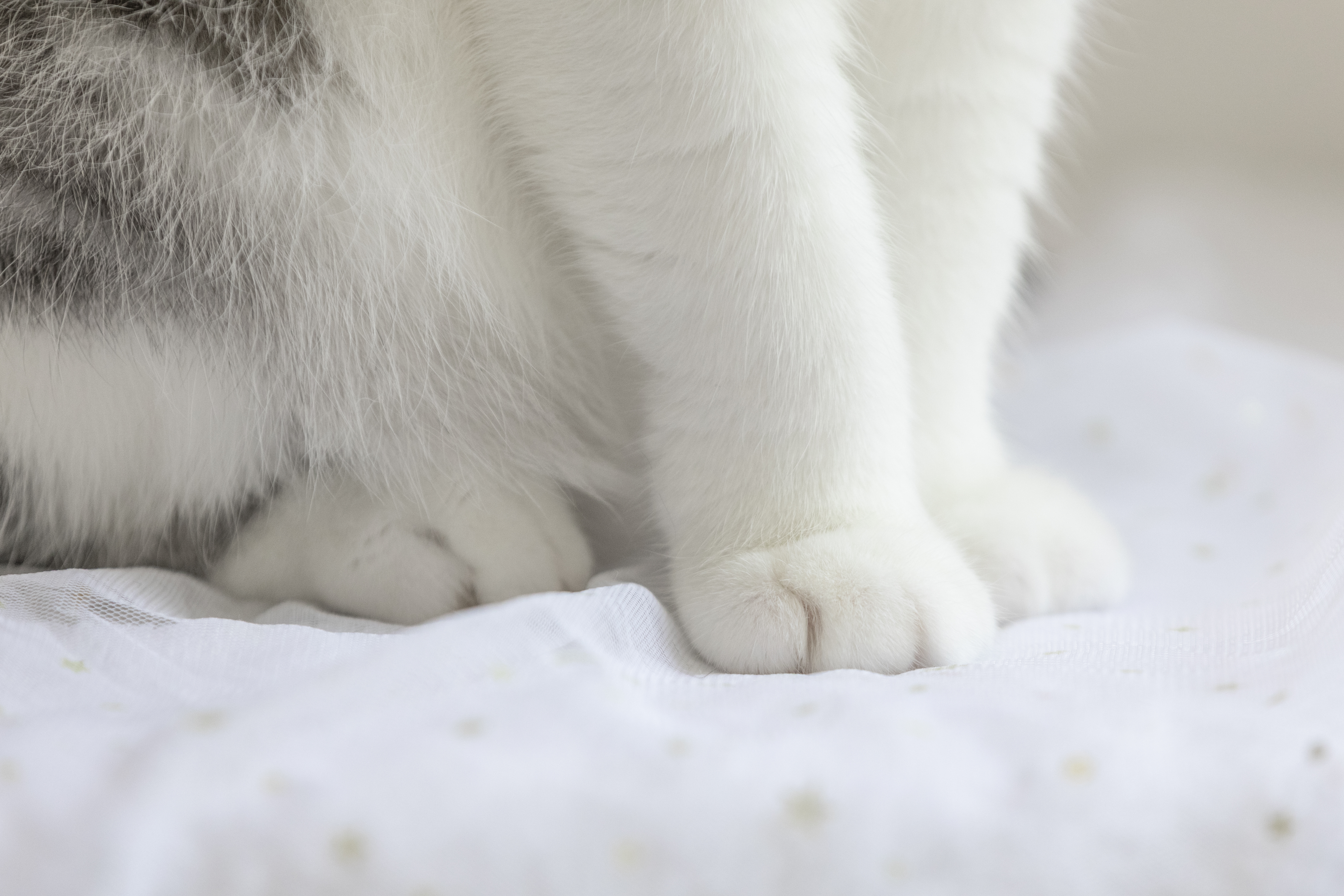 Home Furnishing，Electronics，health preservation，female sex，massage，moxibustion，