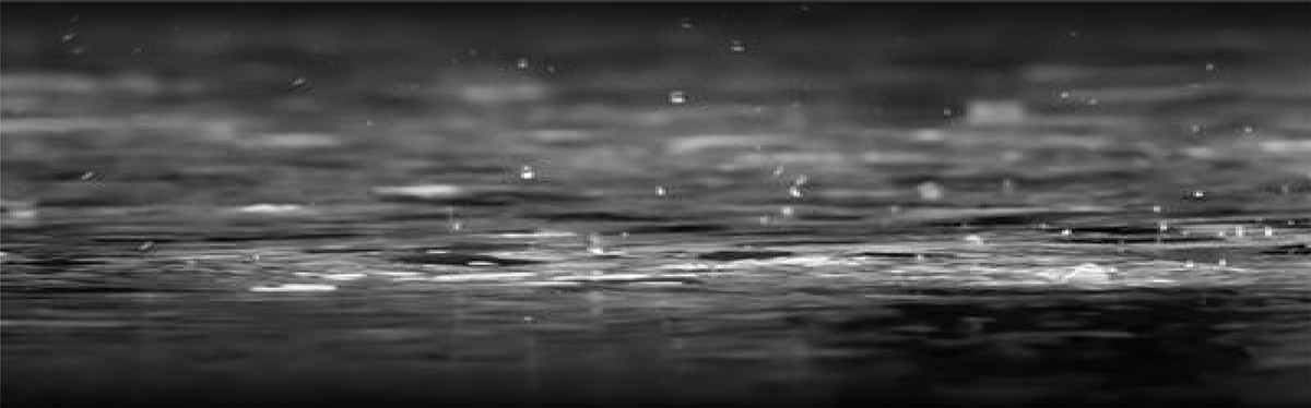 vehicle，security，rain，