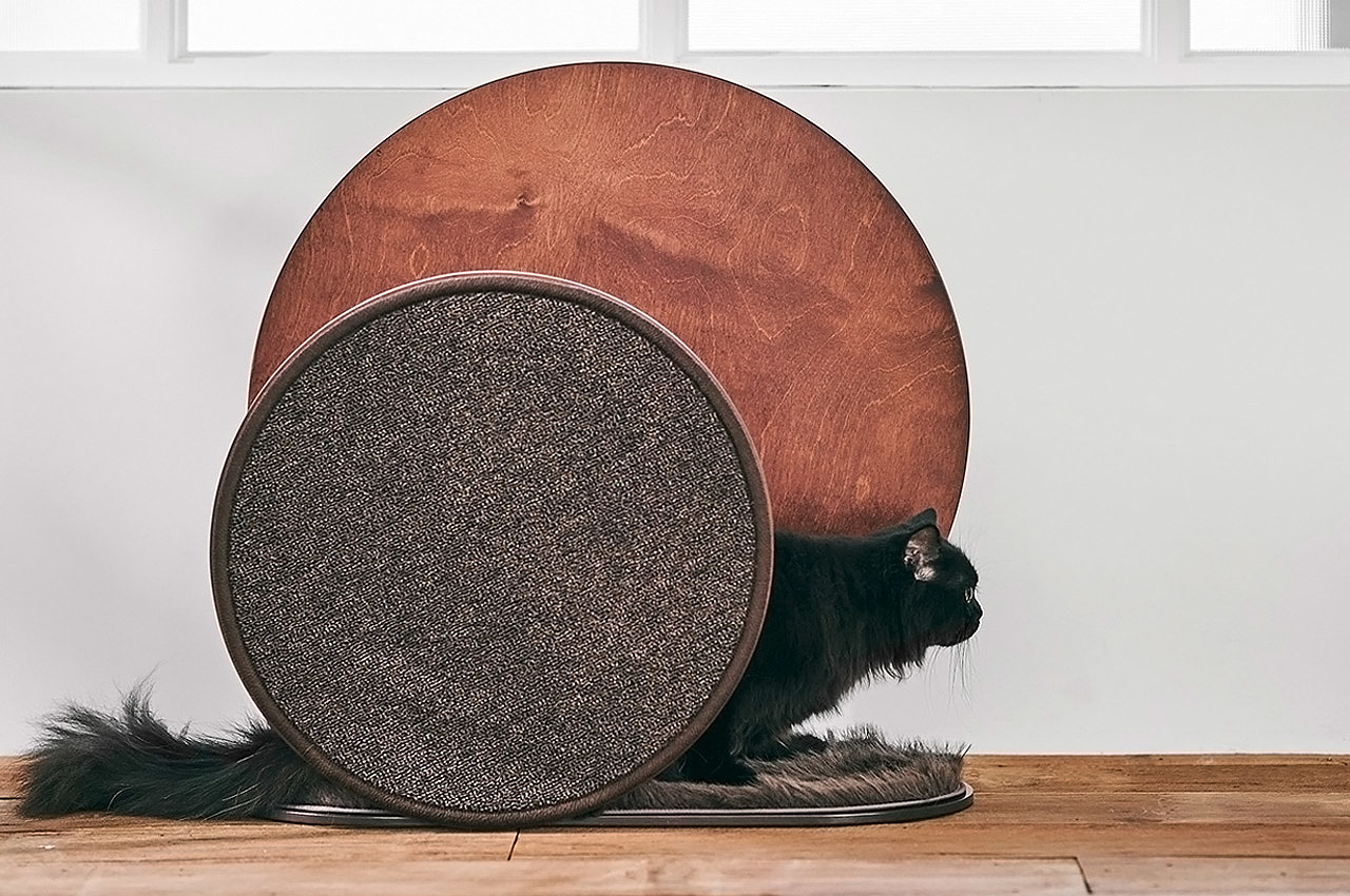 Cat scratch board，wooden ，Interesting，the republic of korea，