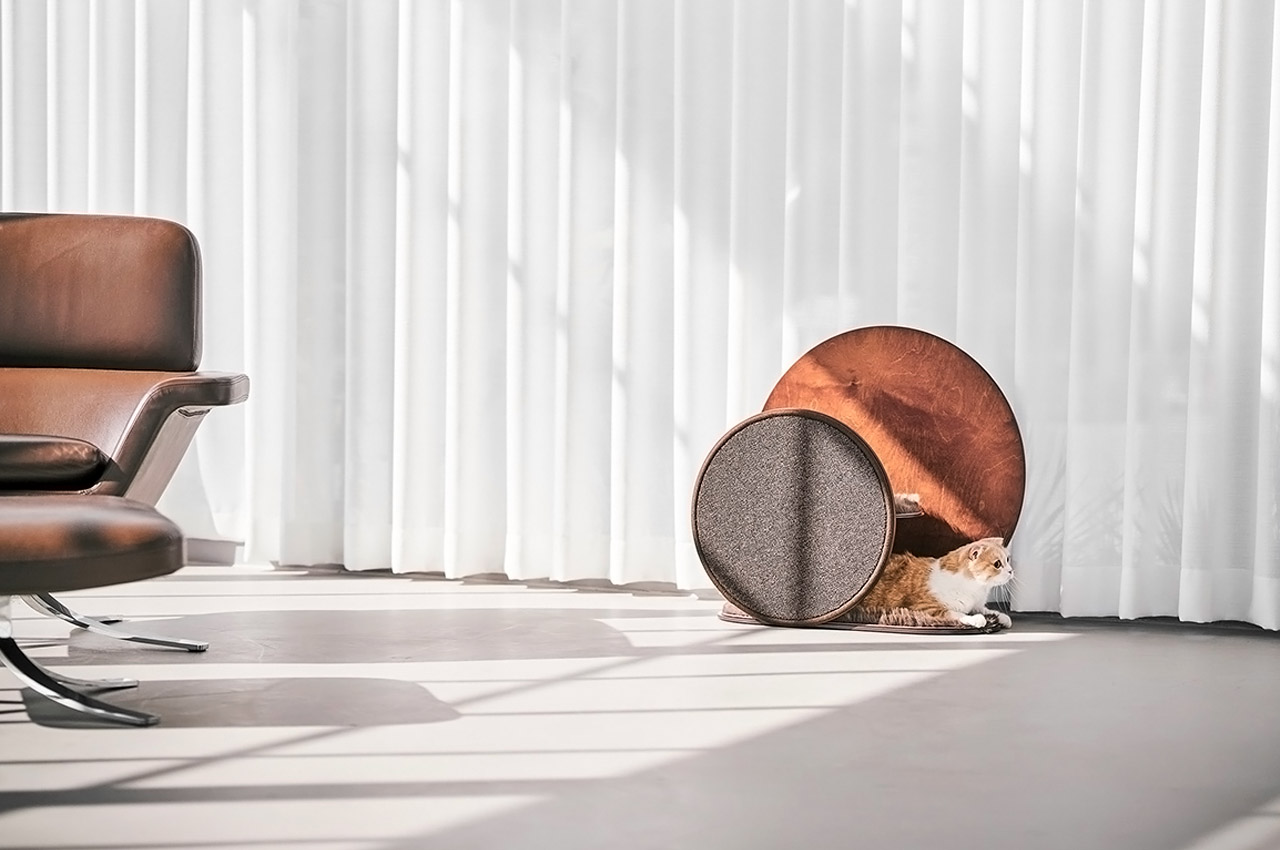 Cat scratch board，wooden ，Interesting，the republic of korea，