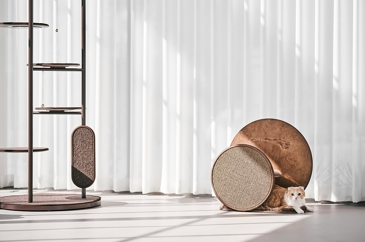 Cat scratch board，wooden ，Interesting，the republic of korea，