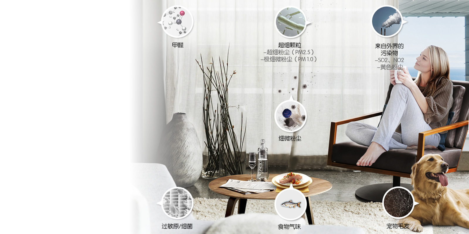 lg，air cleaner，PS-W309WI，user friendly design，