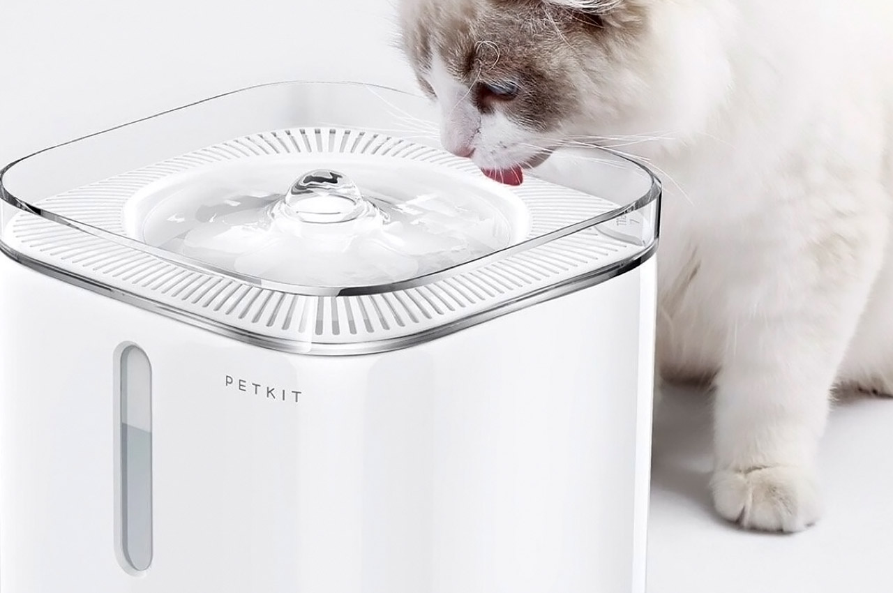 Pets，tool，intelligence，