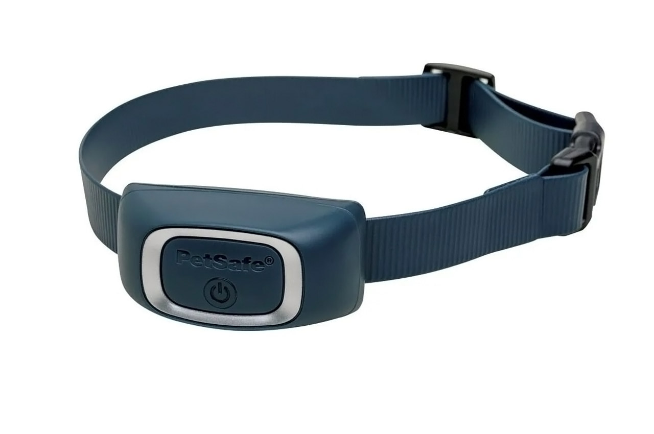 Pets，tool，intelligence，