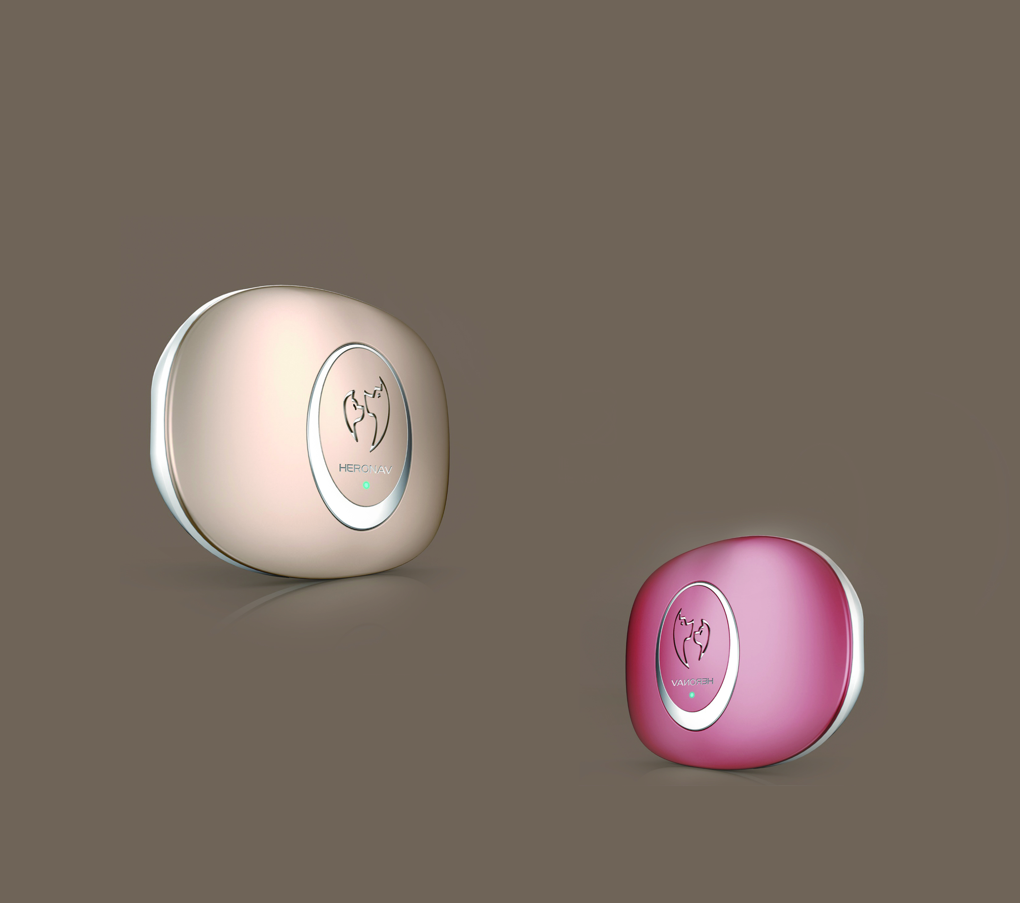 Pets，positioner，Pet positioning，outdoors，