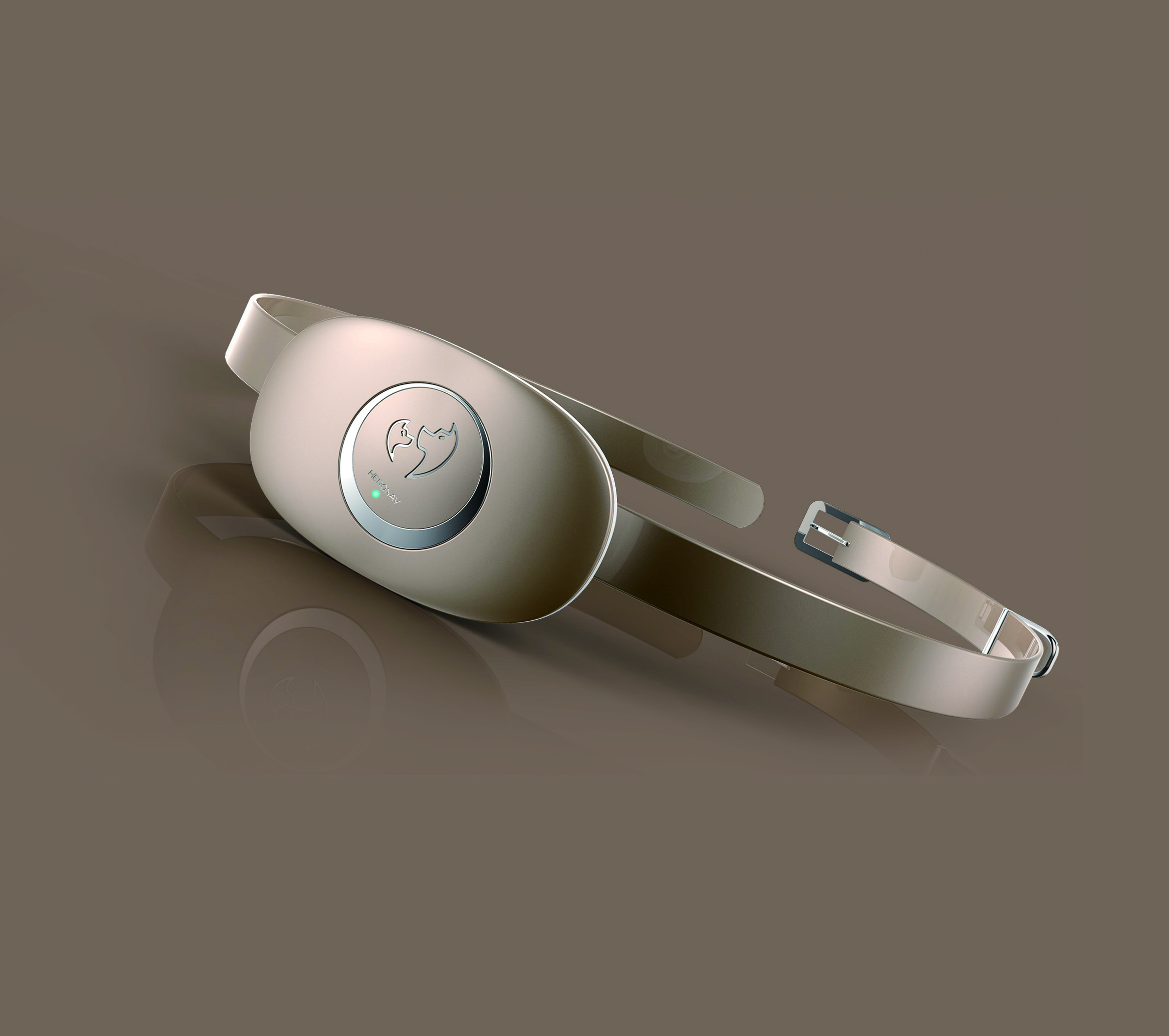 Pets，positioner，Pet positioning，outdoors，