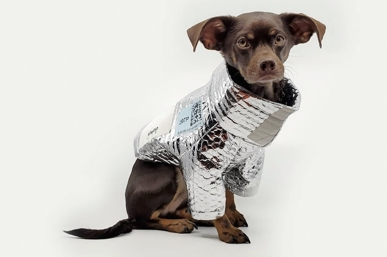 glove，Hand warmer，Pet clothes，Oven，Bluetooth headset，