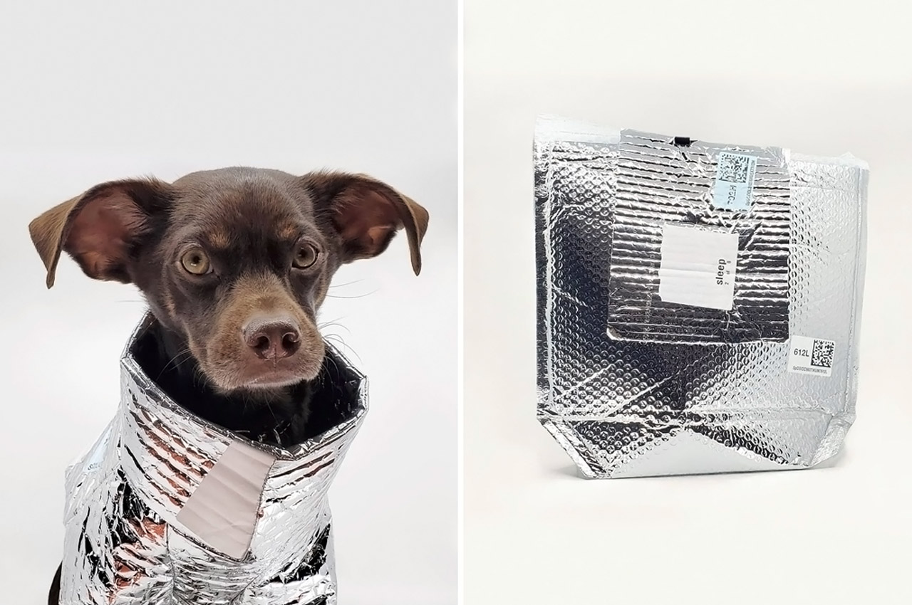 glove，Hand warmer，Pet clothes，Oven，Bluetooth headset，