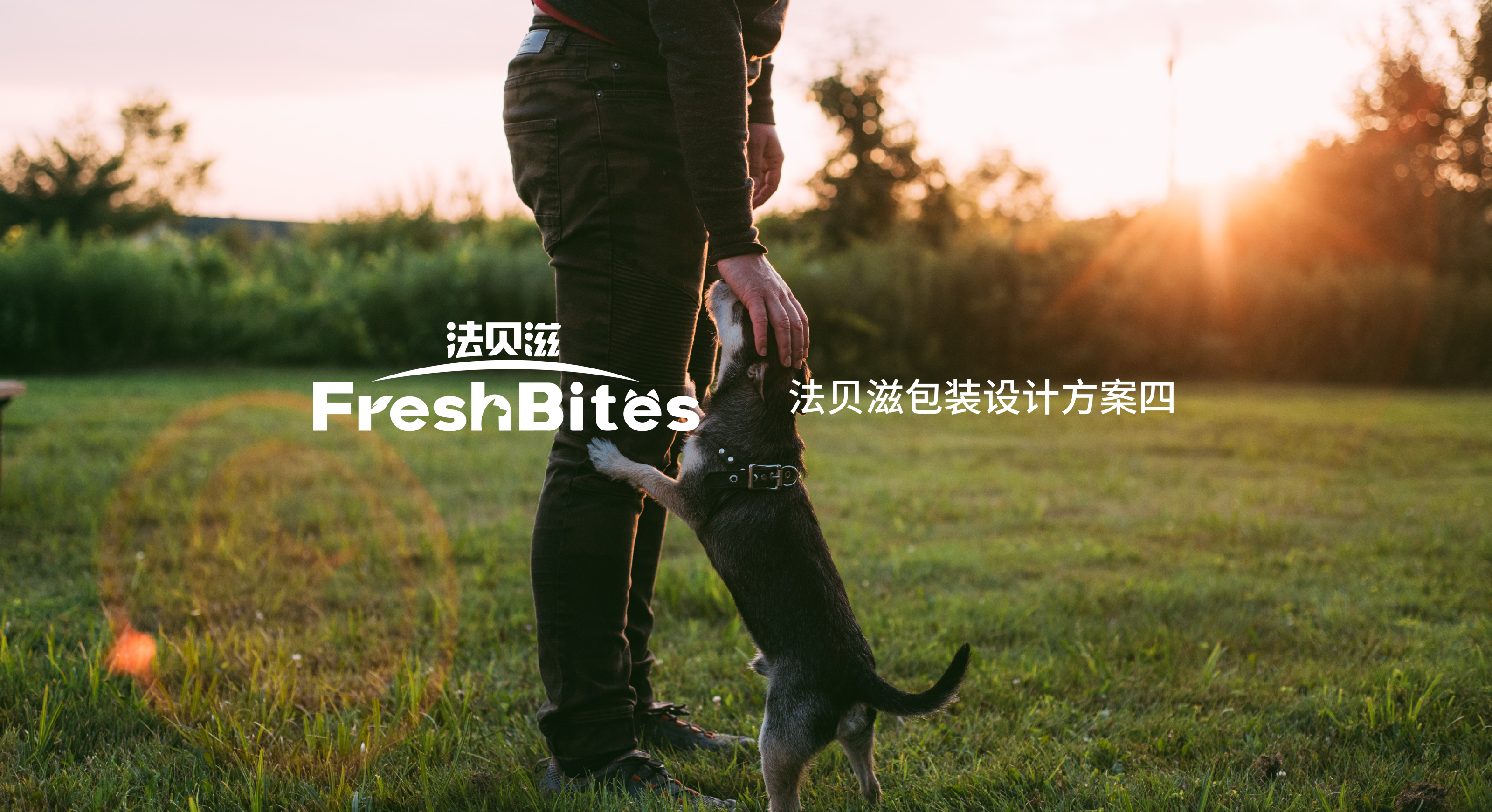 packing design，pet food ，Packaging material，industrial design，Graphic Artist Designer，