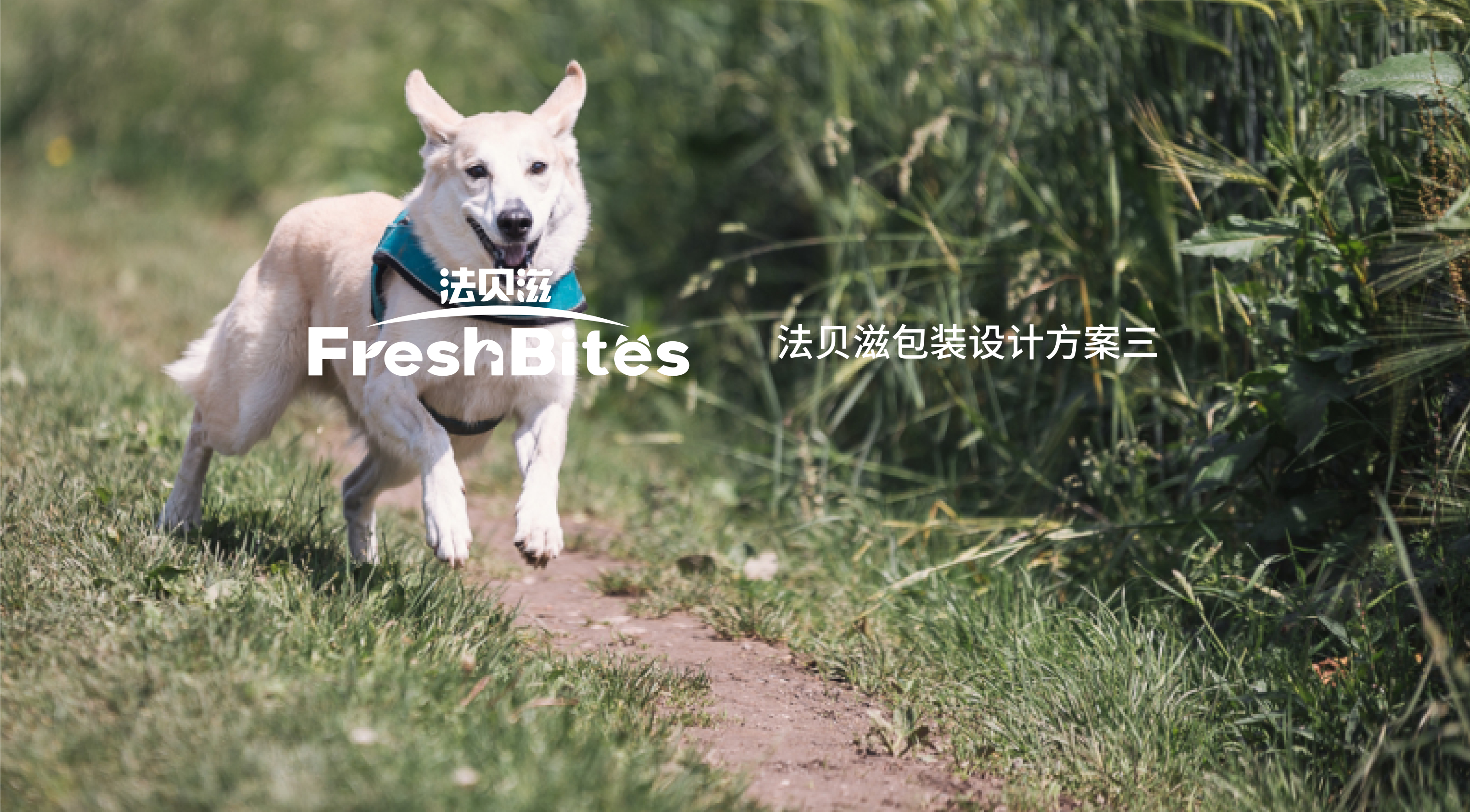 packing design，pet food ，Packaging material，industrial design，Graphic Artist Designer，