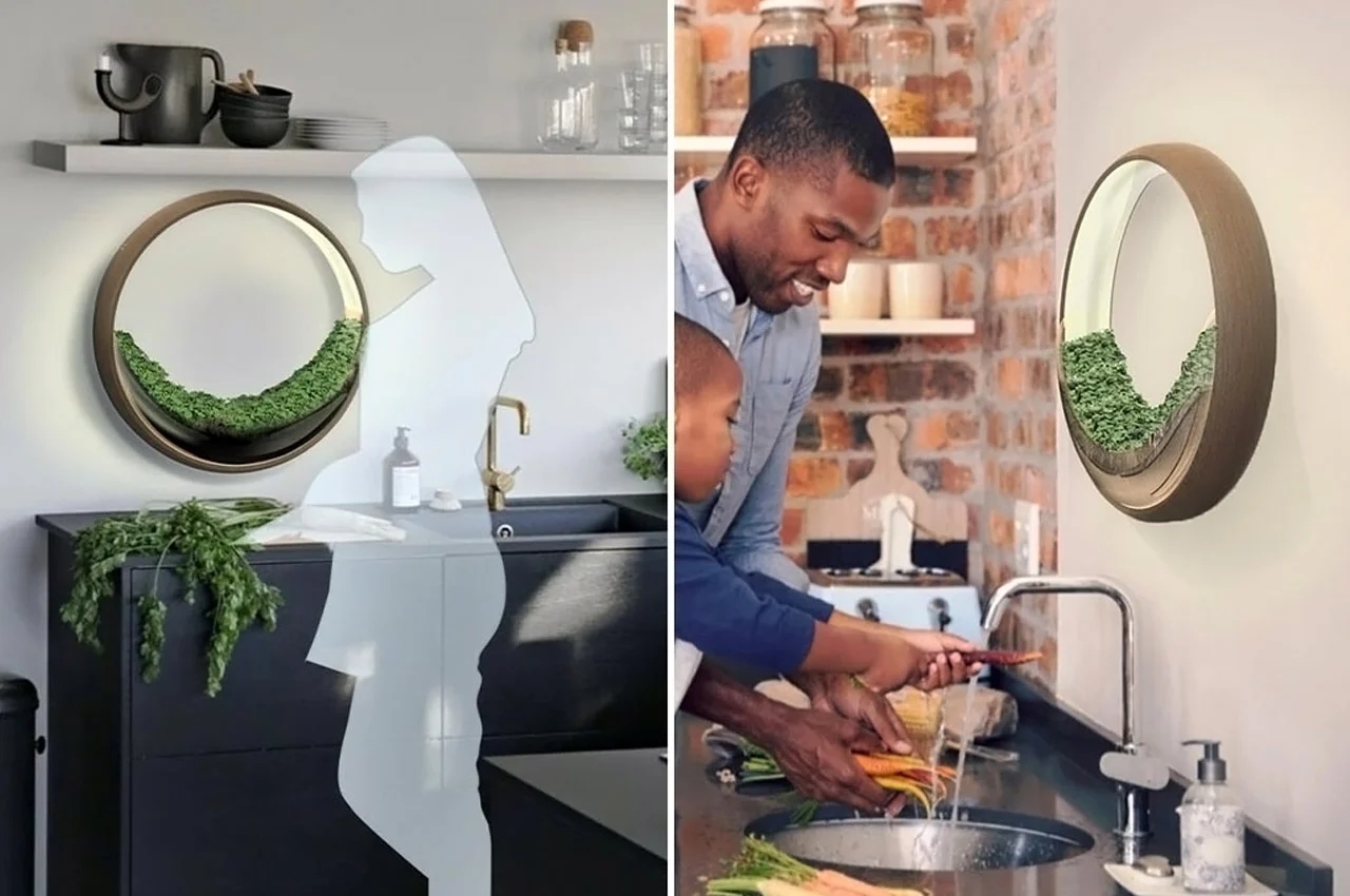 Dyson，vehicle，purifier，