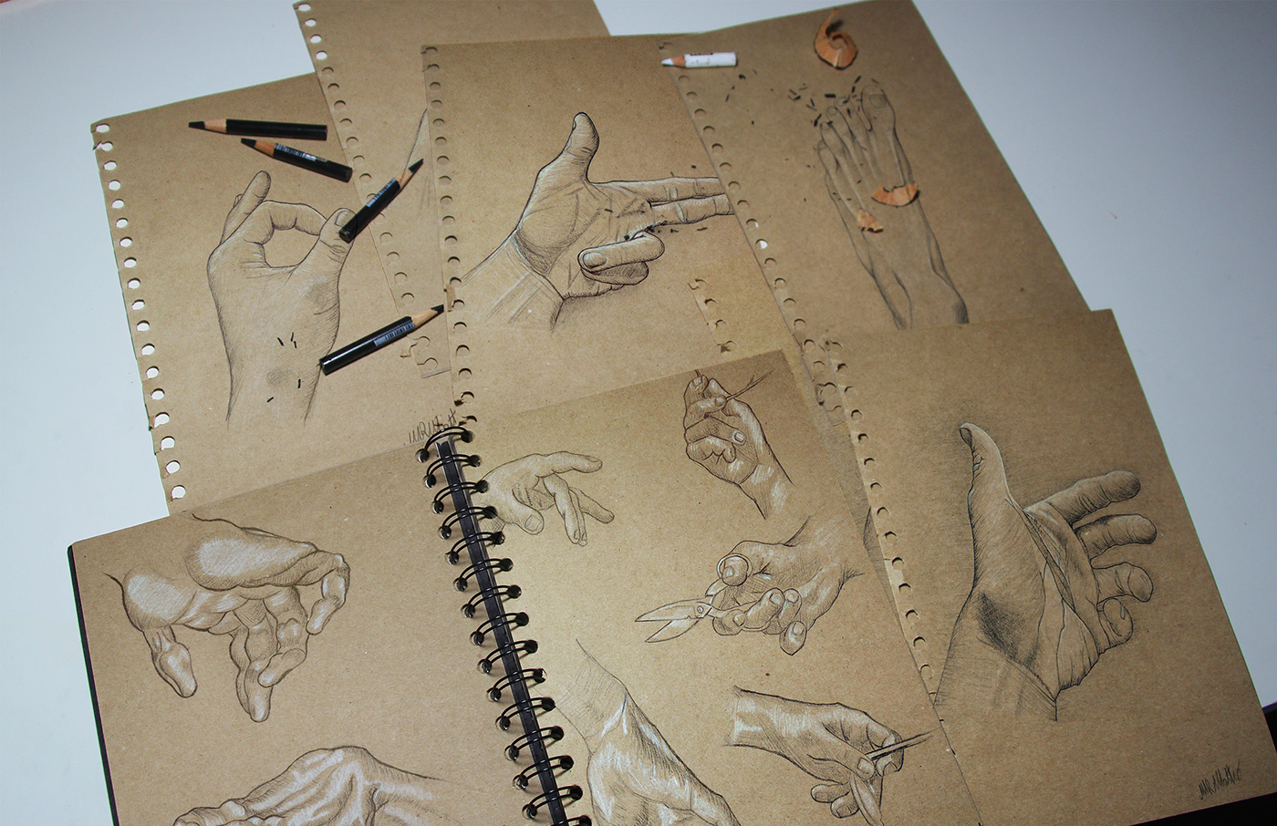 Hand drawn，Line，Matteo iavicoli，ps，